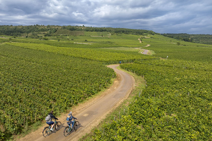 France, Cote d'Or, cultural Landscape of the climates of Burgundy listed as World Heritage by UNESCO, vineyard of the Côte de Nuits, cycle touring on the Route des Grands Crus (road of Vintage Wines) in Vosne-Romanée