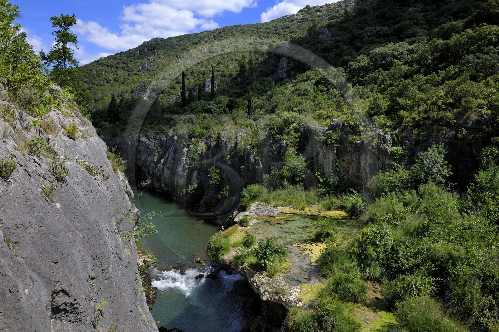 France, Hérault (34), les Gorges de l'Hérault vers Saint-Guilhem-le-Désert