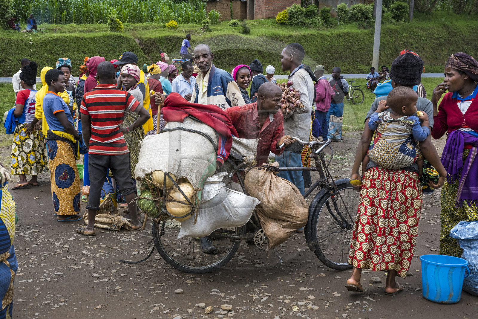 Rwanda, Province du Nord, District de Musanze (Ruhengeri), jour de marché à Muryabazira sur la Route Nationale 4 entre Kigali et Ruhengori, transport de gros sacs sur une bicyclette, les bicyclettes sont le principal moyen de transport local