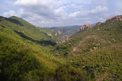 France, Var, Agay area next to Saint-Raphael, Massif de l'Esterel (Esterel Massif), Massif of Cap Roux