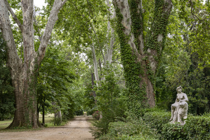 France, Bouches du Rhone, Aix en Provence, Bastide du Jas de Bouffan, former home of Paul Cezanne from 1859 to 1899, the chestnut tree alley painted by Cézanne
