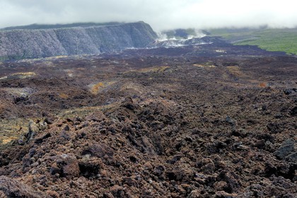 France, Reunion island (French overseas department), Piton de la Fournaise, listed as World Heritage by UNESCO volcano, the Grand Brule, recent lava flow