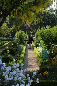 France, Côte d'Or (21), Dijon, jardins botanique de l'Arquebuse