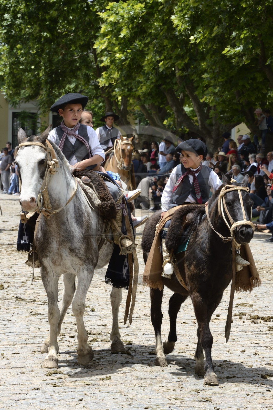 Argentine, province de Buenos Aires, San Antonio de Areco, fête du Jour de la Tradition (Dia de la Tradicion), très jeunes gauchos à cheval défilant en habit traditionnel