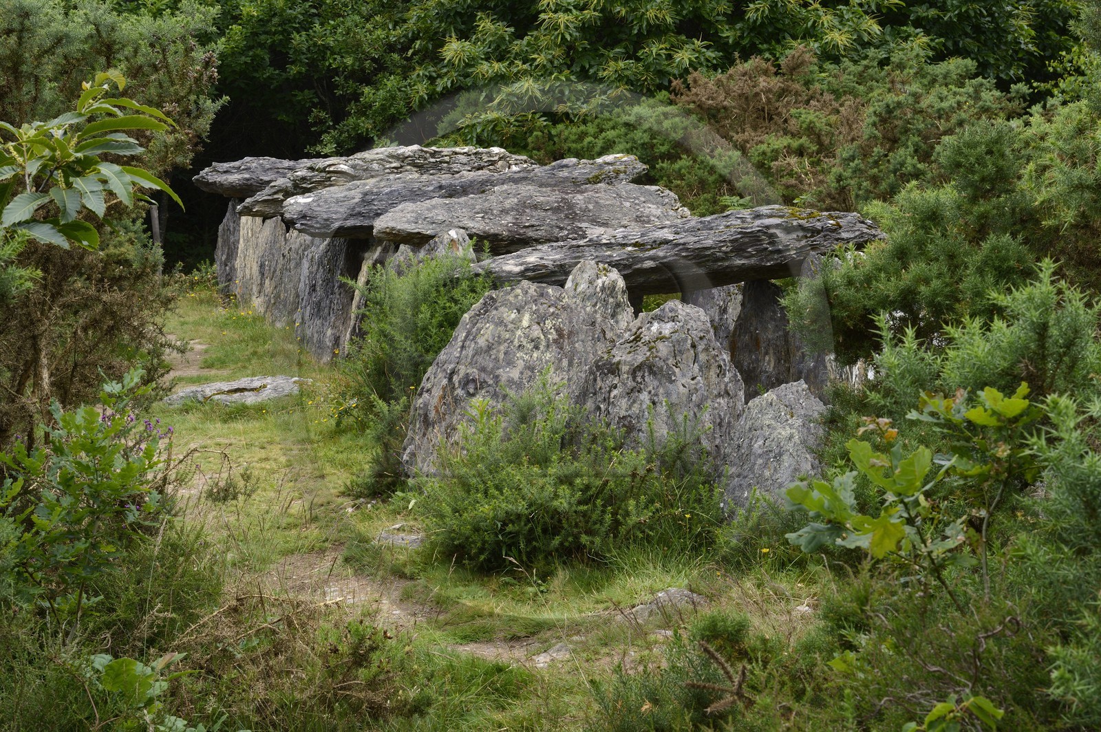 France, Ille-et-Vilaine (35), Saint-Just, monuments mégalithiques de la Lande de Cojoux, dolmen, sépulture à entrée latérale de Tréal