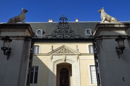 France, Meurthe-et-Moselle (54), Nancy, Hotel des Loups ou Hotel Curel (XVIIème siècle)