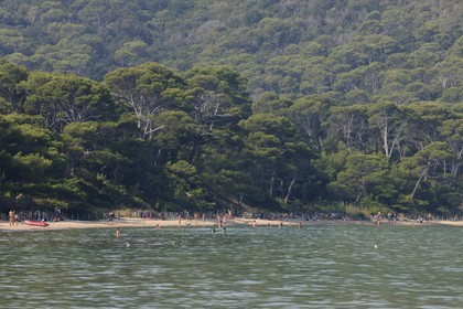 France, Var (83), Iles d'Hyères, parc national de Port-Cros, île de Porquerolles, la Plage Notre Dame