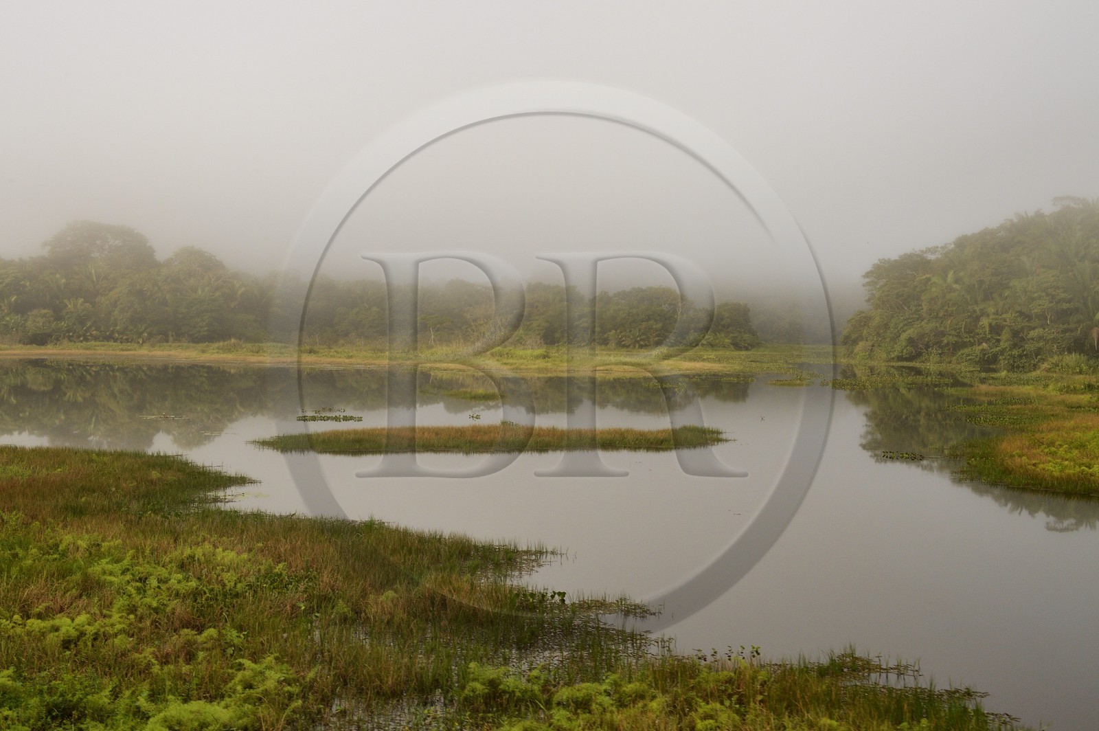Panama, l'isthme de Panama entre Panama City et Colon le long de la ligne de train de la Panama Canal Railway