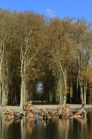 France, Yvelines (78), parc du château de Versailles, classé Patrimoine Mondial de l'UNESCO, le bassin d' Apollon