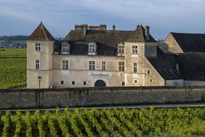 France, Cote d'Or, cultural Landscape of the climates of Burgundy listed as World Heritage by UNESCO, Route des Grands Crus (road of Vintage Wines), vineyard of the Côte de Nuits, Vougeot, the Chateau of Clos de Vougeot