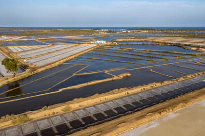 Portugal, Algarve, Tavira, les marais salants en bordure de la ville et du Parc Naturel de la Ria Formosa (vue aérienne)