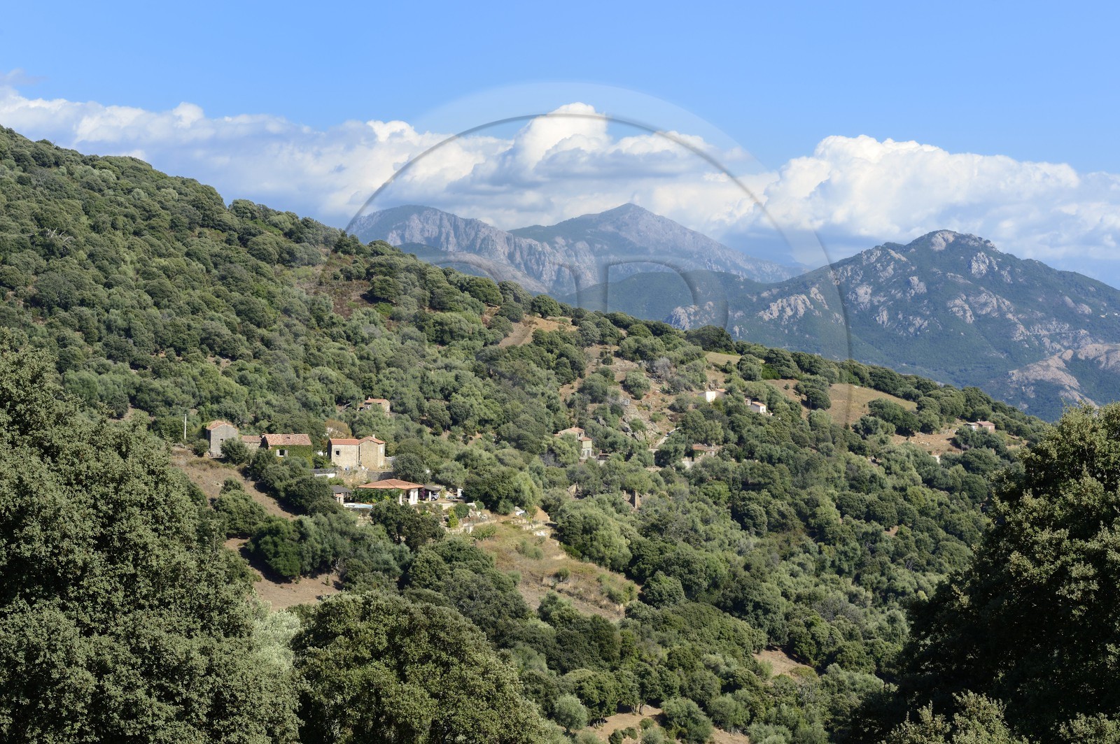 France, Corse-du-Sud (2A), région de Cargèse, Paomia, lieu de la première implantation de la colonie grec avant Cargèse