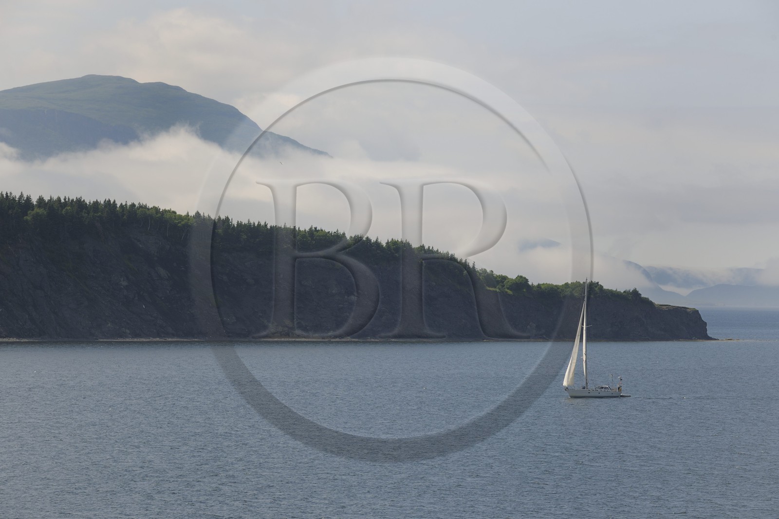 Canada, province de Terre-Neuve et Labrador, Ile de Terre-Neuve, Bay of Islands dans la région de Corner Brook