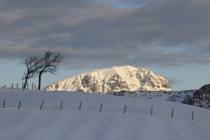 Norvège, Nordland, Iles Lofoten, paysage dans l'ile de Vestvagoy en hiver