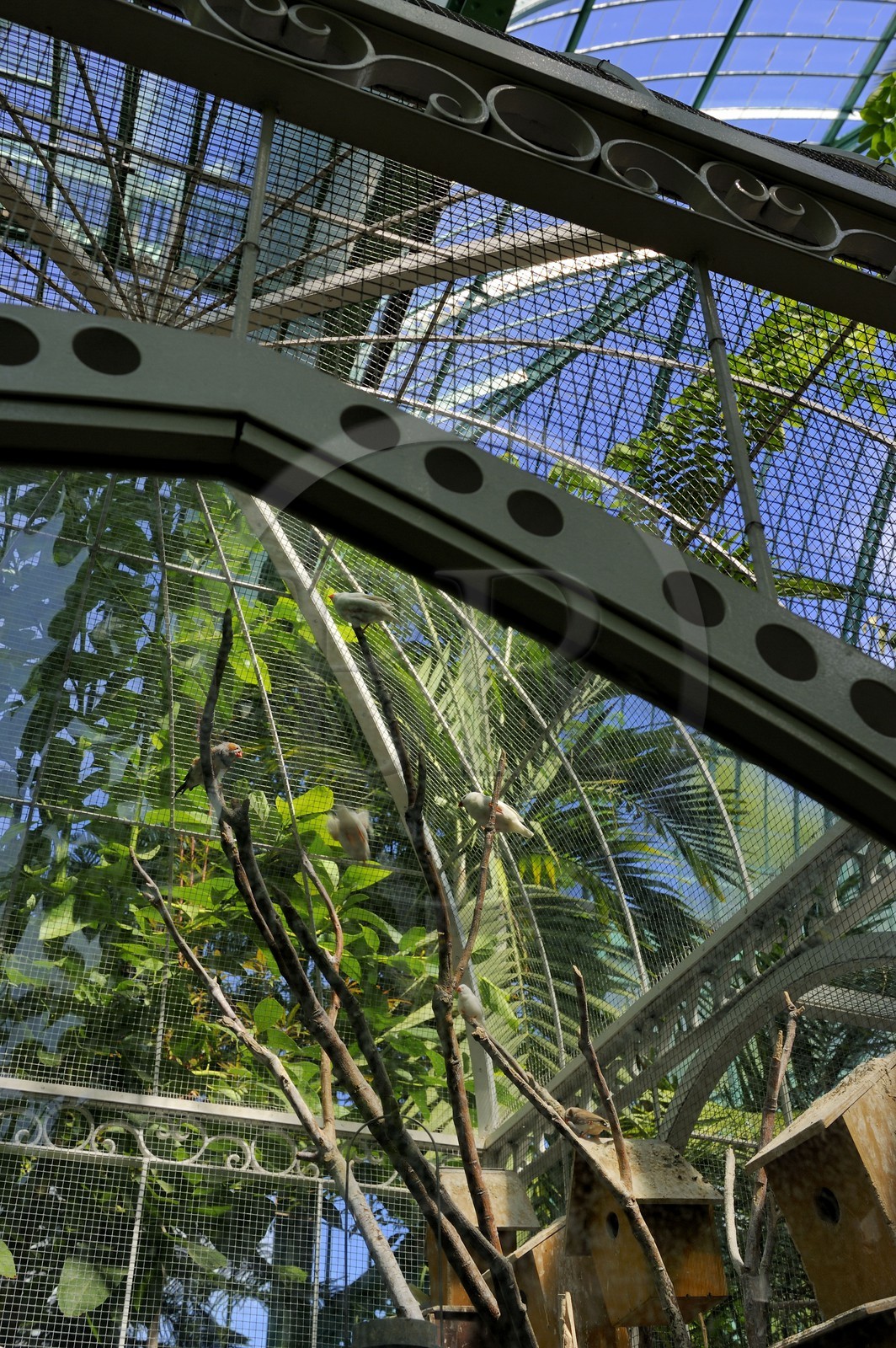 France, Paris (75),  Jardin des Serres d'Auteuil, la grande serre