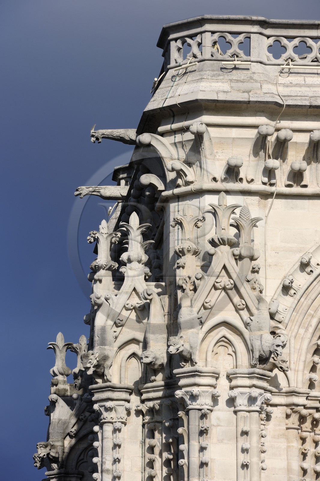 France, Paris, ile de la Cite, Notre-Dame Cathedral, the gargoyles and the chimeras observing the city