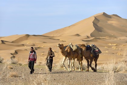 Iran, Province d'Ispahan, désert du Dasht-e Kavir, Mesr dans la région de Khur et Biabanak, caravane de dromadaires passant au pied des dunes de sable