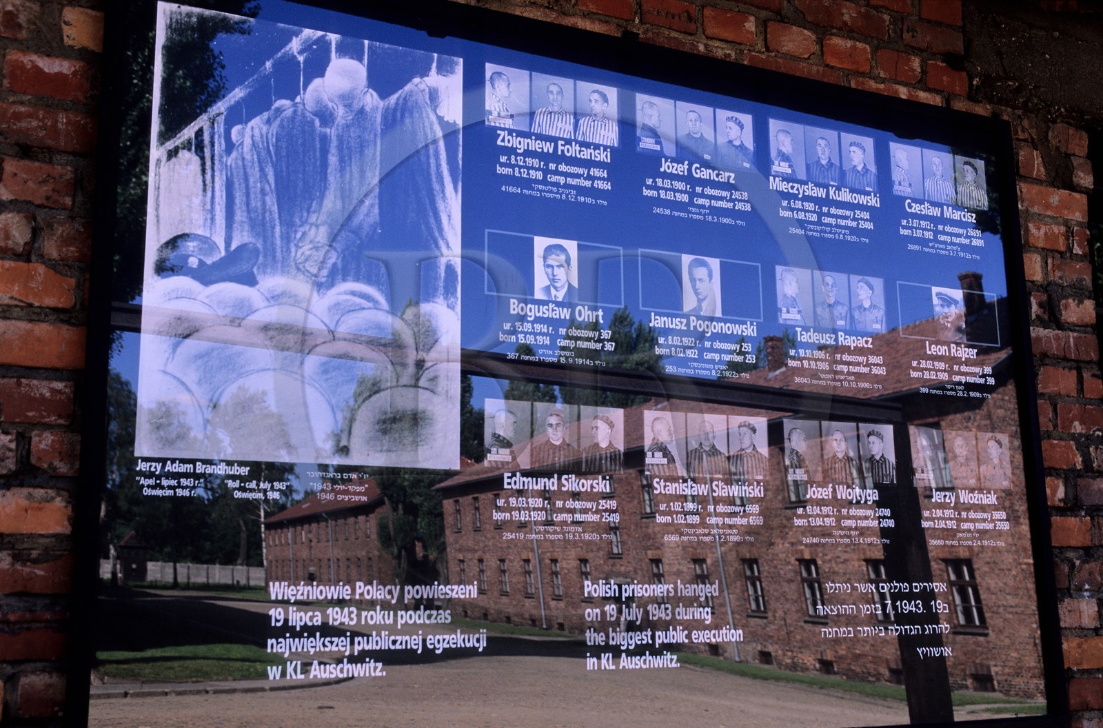 Pologne, région de la Petite-Pologne, environs de Cracovie, village d' Oswiecim, camp de concentration d' Auschwitz, camp de concentration d' Auschwitz, victimes présentées sur la place d' Appel et de pendaison