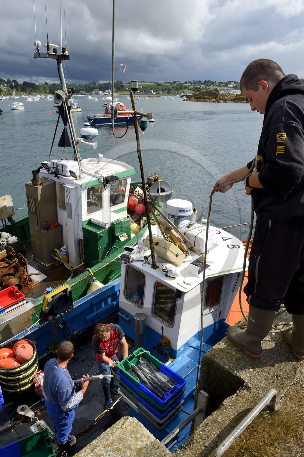 France, Finistère (29), Plougasnou, retour de pêche des chalutiers au port du Diben