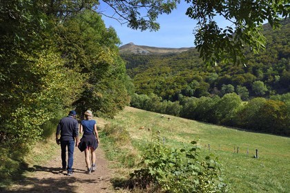France, Cantal, Parc Naturel Régional des Volcans d'Auvergne (regional nature park of Auvergne volcanoes), Brezons valley, hamlet of Sanissage, way to the Saut de la Truite (trout jump) waterfall