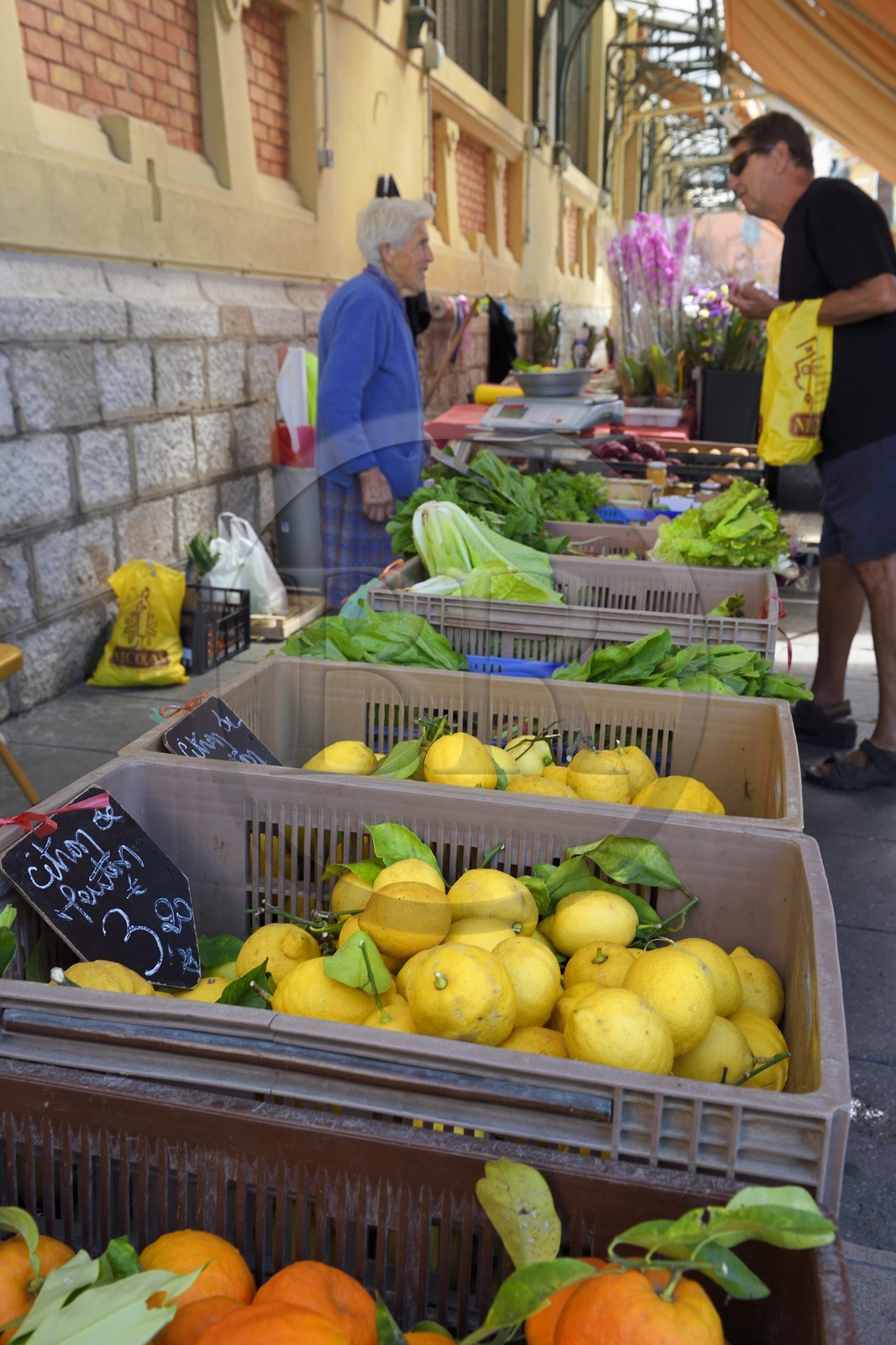 France, Alpes-Maritimes (06), Menton, marché couvert, halle municipale, le citron de Menton