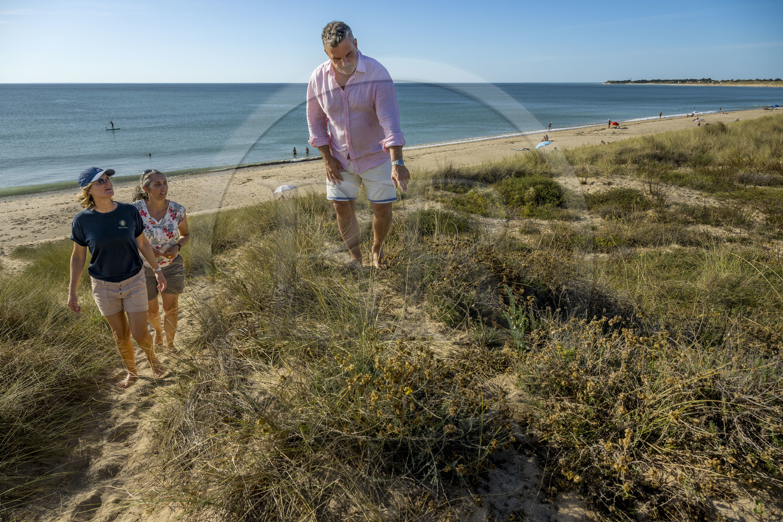 France, Charente-Maritime (17), Ile d'Oléron, Saint-Georges-d'Oléron, plage de Chaucre, l’ingénieur agronome Ethel Gauthier au centre avec Anne-Cécile et Christophe Amigorena les créateurs du Gin Melifera