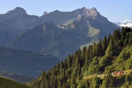 Switzerland, Canton of Vaud, Villars-sur-Ollon, train to the Bretaye pass station
