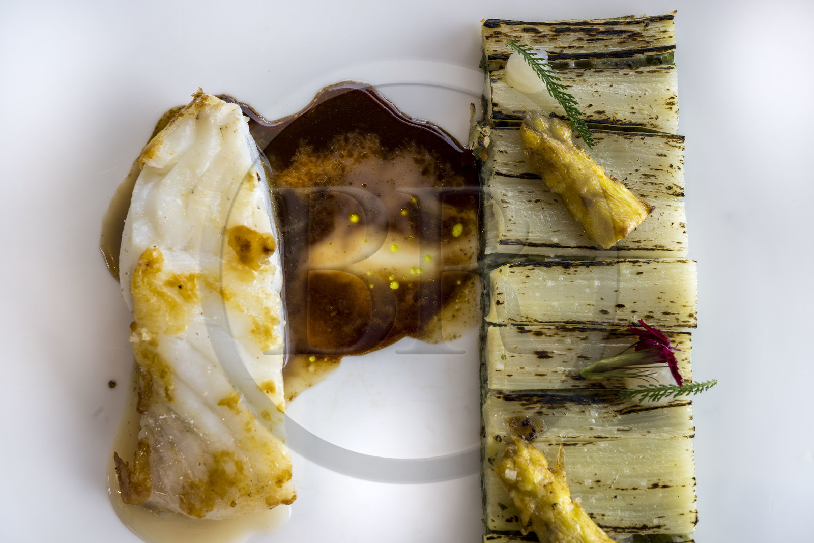 France, Finistère (29), Baie de Morlaix, Carantec, restaurant Nicolas Carro étoilé Michelin à l’Hôtel de Carantec, pêche des côtes bretonnes avec déclinaison d'asperges blanches au lait ribot et huile de cerfeuil avec jus de champignons brun