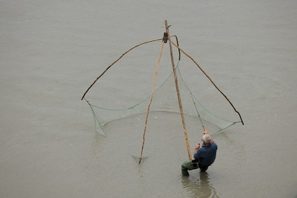 France, Manche (50), Baie du Mont-Saint-Michel, pêcheur au carrelet