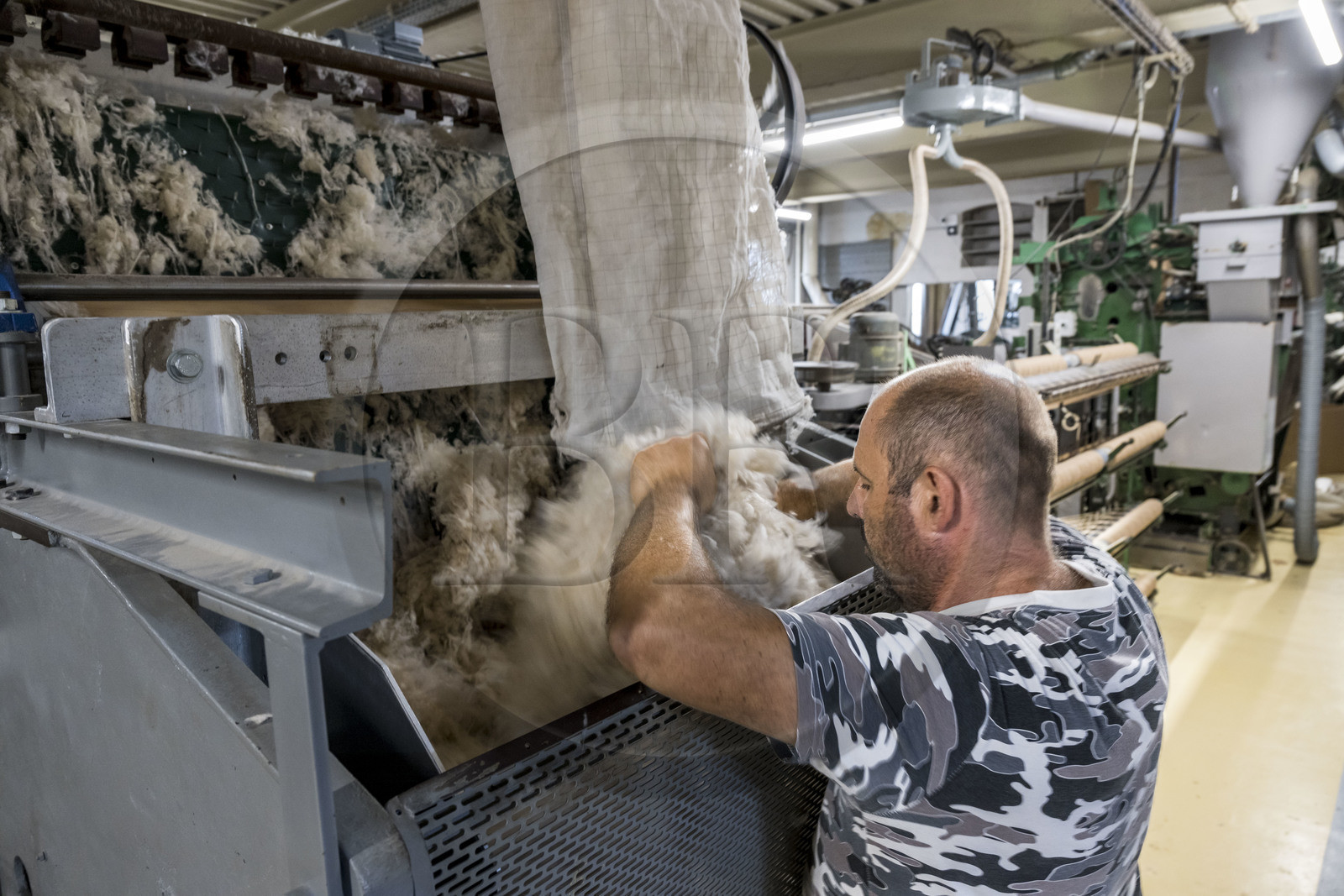 France, Vaucluse (84), L'Isle-sur-la-Sorgue, Manufacture Brun de Vian-Tiran, industrie textile lainière labellisée Entreprise du patrimoine vivant, poil des chèvres du Cachemire avant cardage