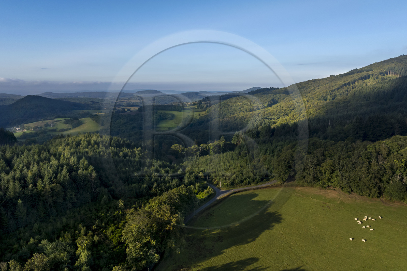 France, Saône-et-Loire (71), parc naturel régional du Morvan, Saint-Léger-sous-Beuvray, vaches dans les prés et vallées au pied du Mont Beuvray (vue aérienne)