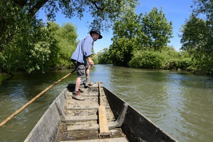 France, Bas Rhin, Ebersmunster and Muttersholtz region, the Ried, the boatman Patrick Unterstock in a small flat wooden bottom boat on the Ill river