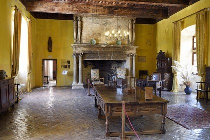 France, Vaucluse, Parc Naturel Regional du Luberon (Natural Regional Park of Luberon), Lourmarin, labelled Les Plus Beaux Villages de France (The Most Beautiful Villages of France), the castle of the 15th and 16th centuries Renaissance, reception hall, Renaissance fireplace with sculptures of Indian heads crowned with feathers