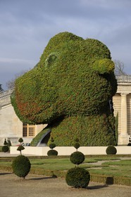 France, Yvelines, Chateau de Versailles, listed as World Heritage by UNESCO, the Split-Rocker of Jeff Koons