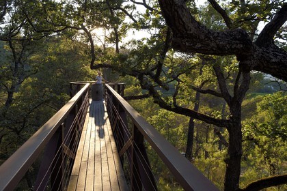 France, Bouches du Rhone,  Le Puy Sainte Reparade, Chateau La Coste vineyard and contemporary art center, Self-portrait: Cat inside a Barrel by the artist Tracey Emin (Compulsory Mention)