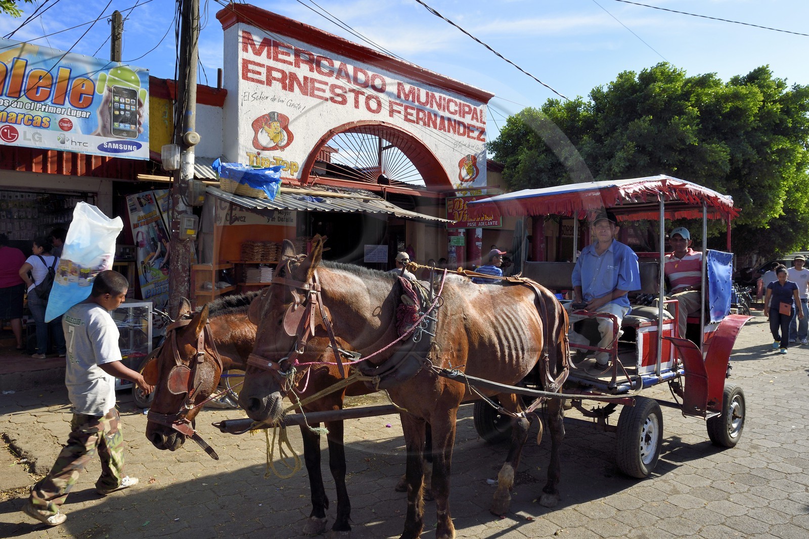 Nicaragua, Masaya, voiture à cheval taxi devant le marché Mercado Municipal Ernesto Fernandez