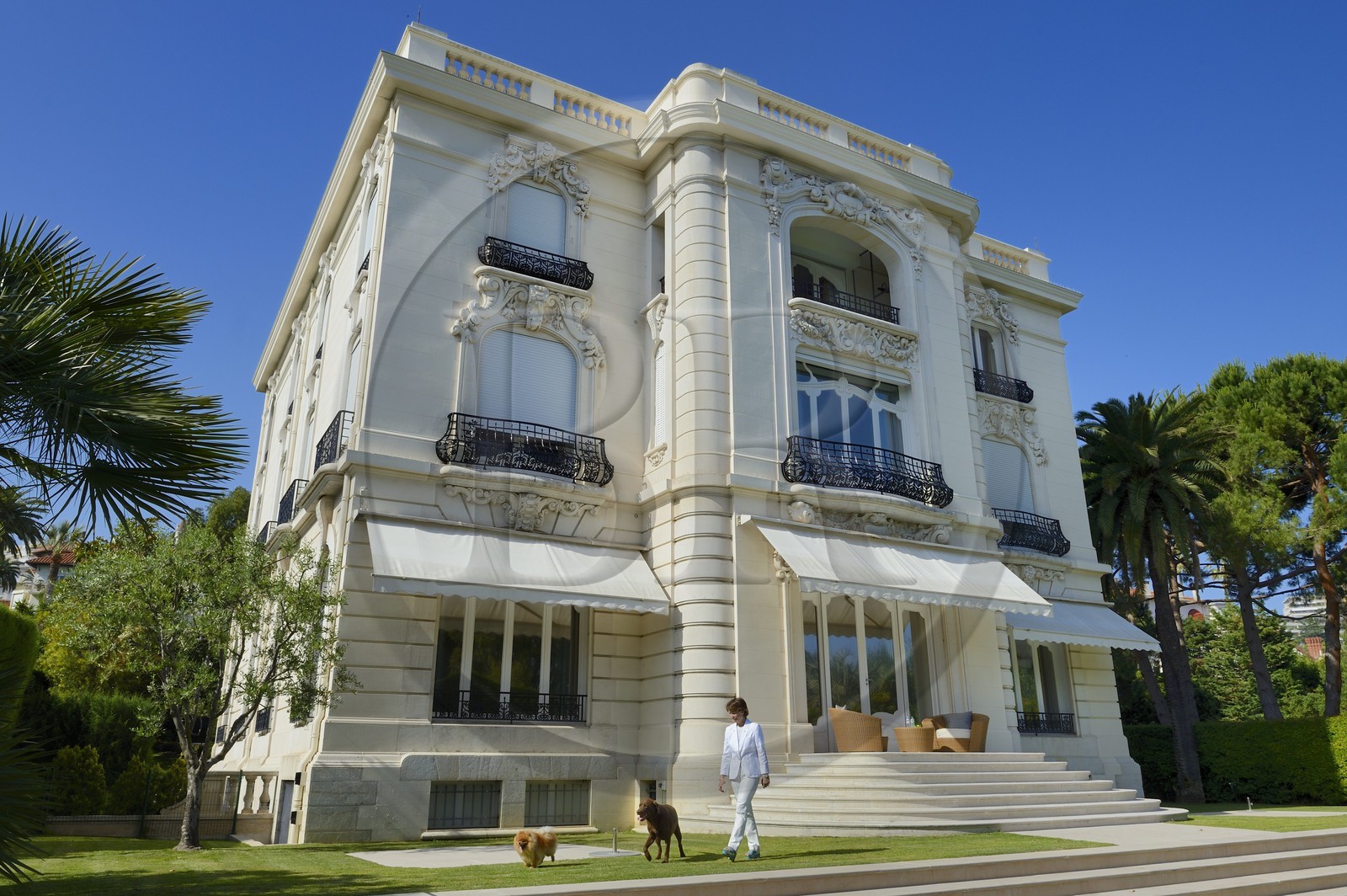 France, Alpes-Maritimes (06), Cannes, la villa La Californie où vécu Pablo Picasso, aujourd'hui renommé le Pavillon de Flore par Marina Picasso, Marina Picasso petite fille de Picasso en compagnie de ses chiens France, Alpes-Maritimes (06), Cannes, la villa La Californie où vécu Pablo Picasso, aujourd'hui renommé le Pavillon de Flore par Marina Picasso, Marina Picasso petite fille de Picasso en compagnie de ses chiens