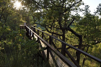 France, Bouches du Rhone,  Le Puy Sainte Reparade, Chateau La Coste vineyard and contemporary art center, Self-portrait: Cat inside a Barrel by the artist Tracey Emin (Compulsory Mention)