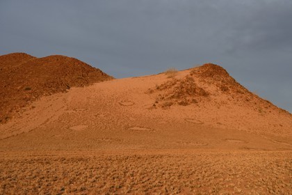 Namibie, région de Hardap, désert du Namib à l'Est du parc national Namib Naukluft vers Sossusvlei, cercles de fées dans la plaine du désert recouverte d'herbe au coucher de soleil, petites aires circulaires sans végétation et de forme globalement arrondie ou hexagonales