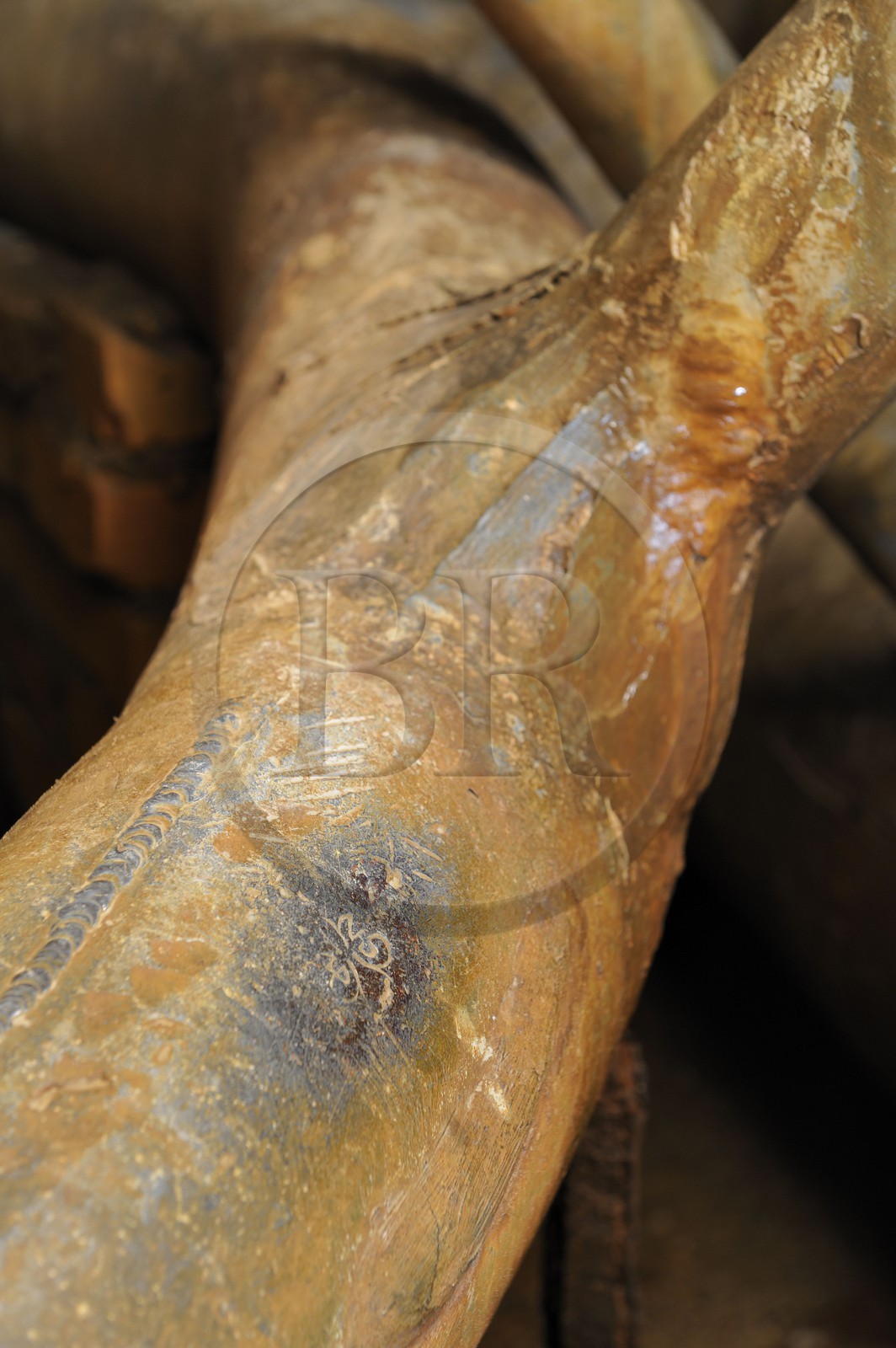 France, Yvelines (78), château de Versailles, classé Patrimoine Mondial de l'UNESCO, le réseau hydraulique souterrain des fontaines, sceau royal sur une canalisation sous la fontaine de Latone