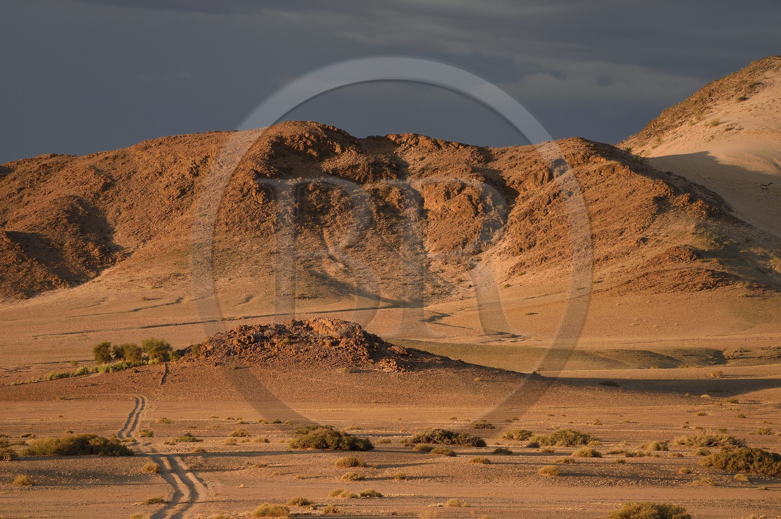 Namibie, région de Hardap, désert du Namib à l'Est du parc national Namib Naukluft vers Sossusvlei
