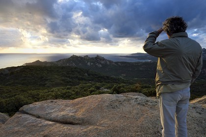 France, Corse du Sud, Cala de Roccapina natural site, genoese tower and Lion rock