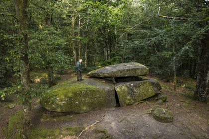 France, Nièvre (58), Parc naturel régional du Morvan, Dun-les-Places, lieu dit Dolmen de Chevresse, chaos granitique formé par l’érosion, dans la forêt de Breuil-Chenue, le garde-forestier à l’ONF Arnaud Chassaigne (vue aérienne)