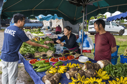 France, Guyane, Javouhey, marché du dimanche Hmong, réfugiés du Laos arrivés en 1978 qui se sont spécialisés dans la culture fruitière, Monica et son mari devant leur étal de racines de tarot, basilic thai et bananes, margozes et autres piments