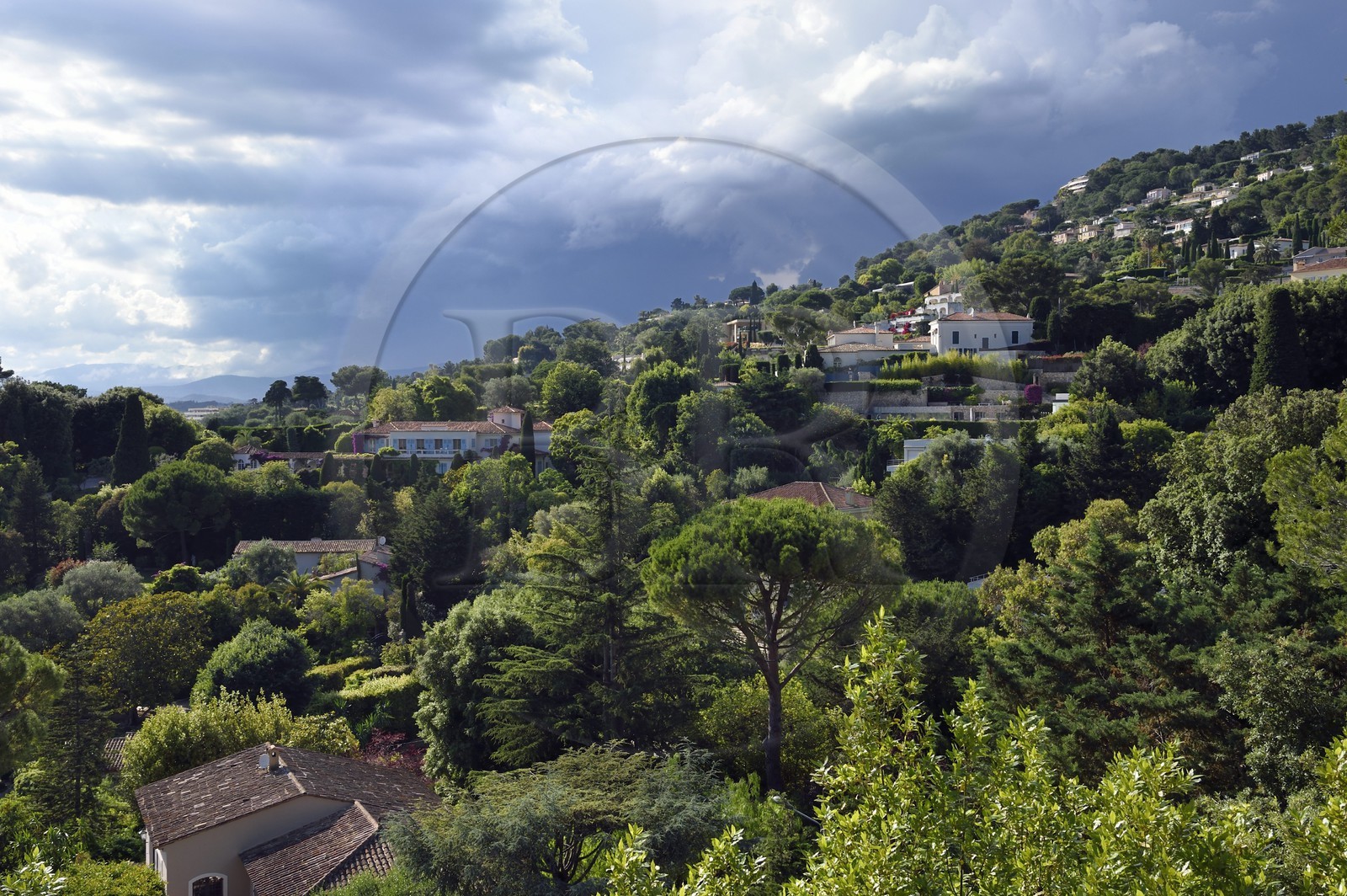 France, Alpes-Maritimes (06), Cannes, quartier de la Californie