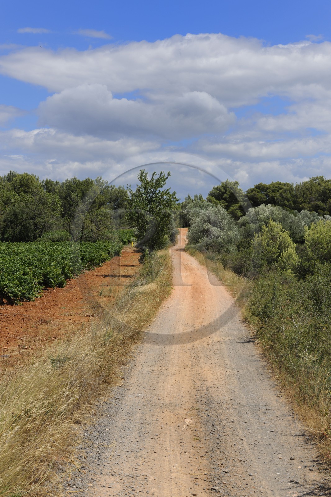 France, Hérault (34), région de Pinet, la voie Domitienne (Via Domitia), tronçon bassin de Thau, en dehors des villes c'est un chemin en terre battue sur des couches stratifiées de gravier et de cailloutis
