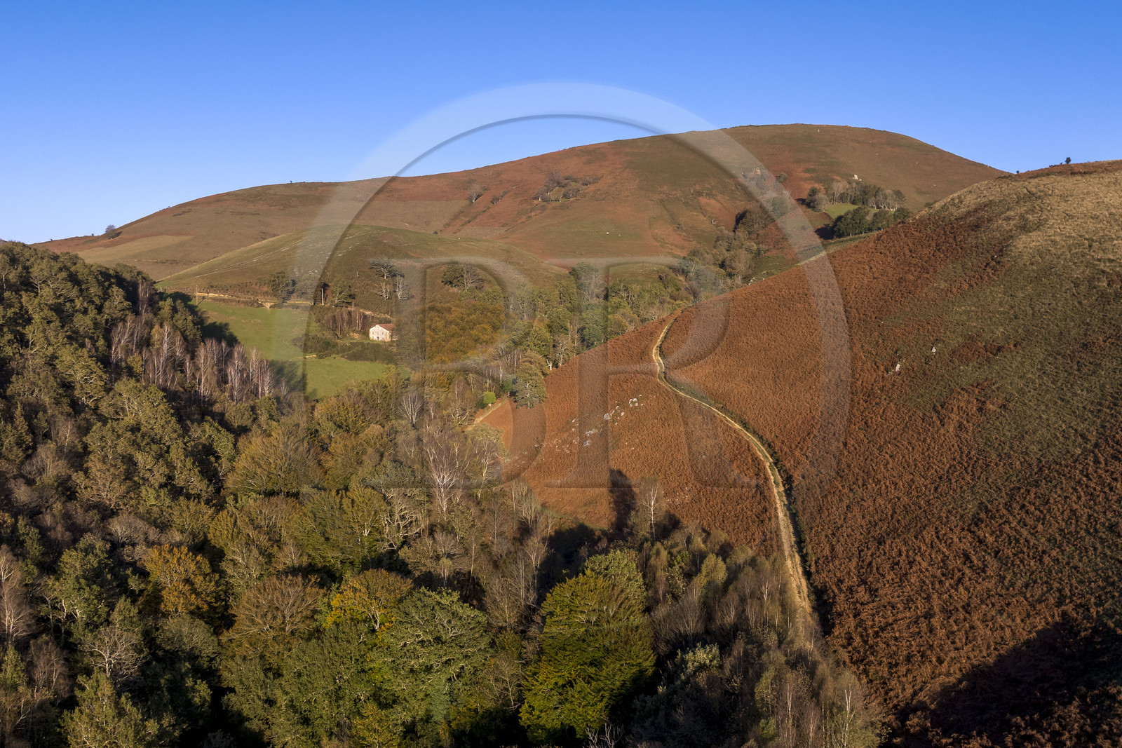 France, Pyrénées-Atlantiques (64), Pays-Basque, ferme isolée sur les hauteurs de la vallée des Aldudes (vue aérienne)