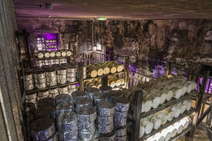 France, Aveyron, Grands-Causses Regional Nature Park, Roquefort sur Soulzon, reconstruction of the Gabriel Coulet Roquefort cheese maturing cellar