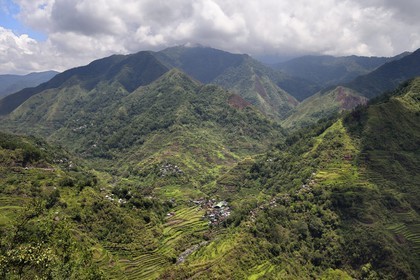 Philippines, province d'Ifugao, les rizières en terrasses de Banaue, classées Patrimoine Mondial de l'UNESCO, alimentées par un ancien système d'irrigation depuis la forêt tropicale au-dessus des terrasses et le village de Cambulo