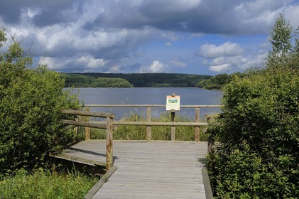 France, Nièvre (58), lac de Saint-Agnan, sentier de découverte balisé